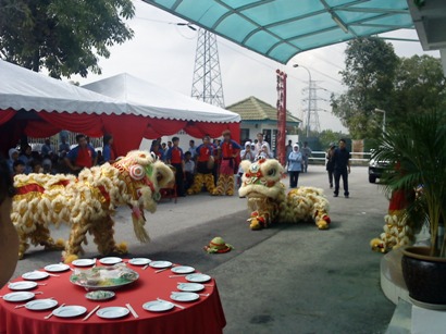 Lion Dance Performance Photo 3 at HOE Pharmaceuticals